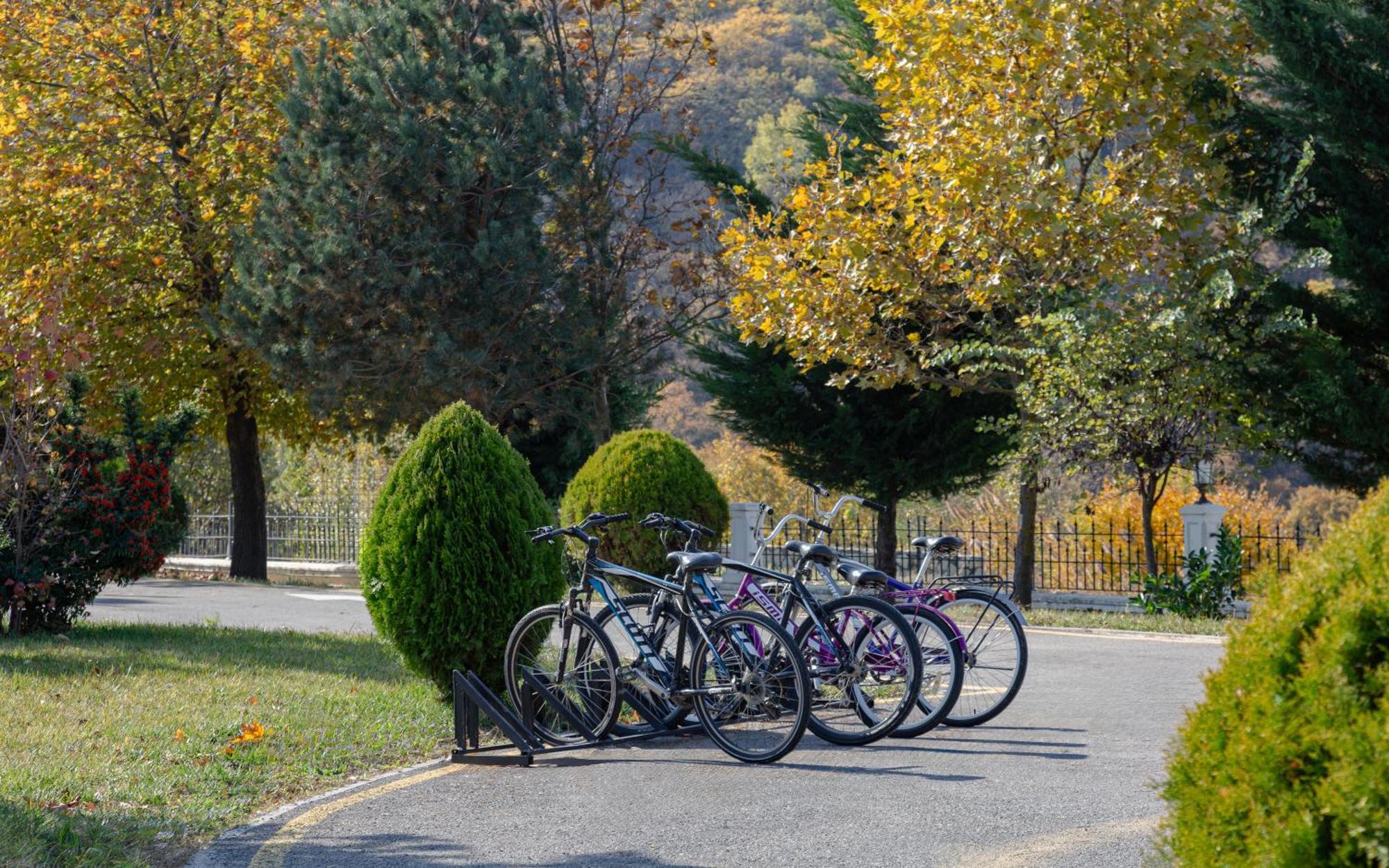 Shamakhi Palace Sharadil Seredil Exteriör bild Bicycles parked at the entrance of the park