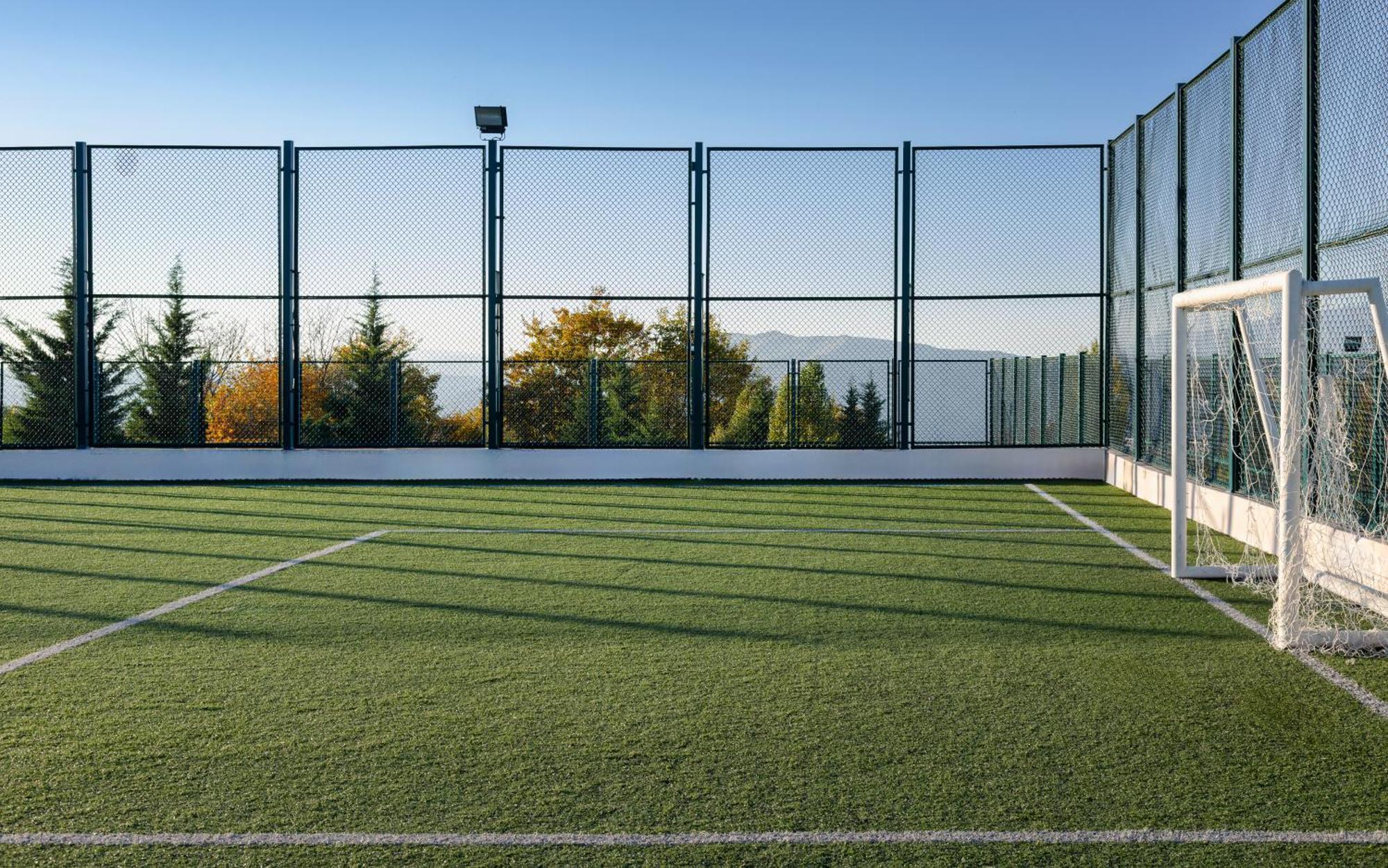 Shamakhi Palace Sharadil Seredil Exteriör bild The artificial grass pitch at the University of Novi Sad